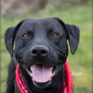 Meet your Posher, Sophie